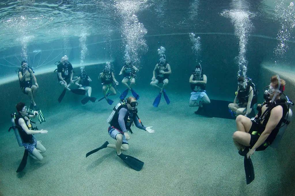 4 Day Open Water Dive Course | Great Barrier Reef