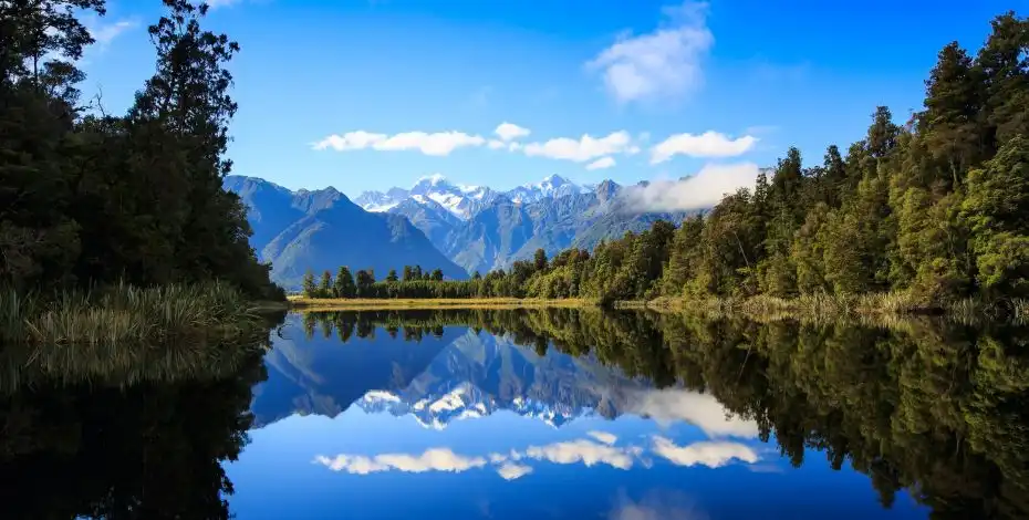 11 Day Weka Tour | Picton to Christchurch | Stray