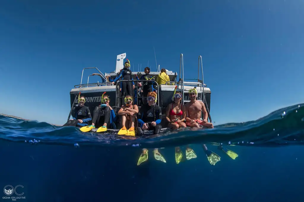 Whale Shark Adventure tour | From Coral Bay