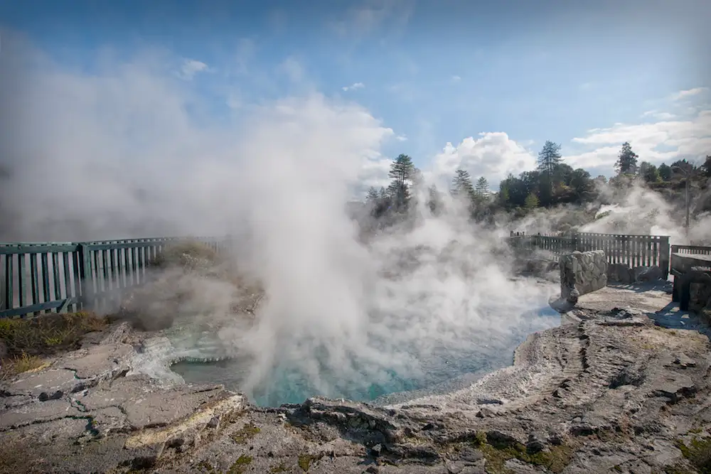 Whakarewarewa Guided Geothermal Eco Tour