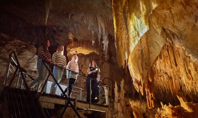 Jewel Cave Fully Guided Tour