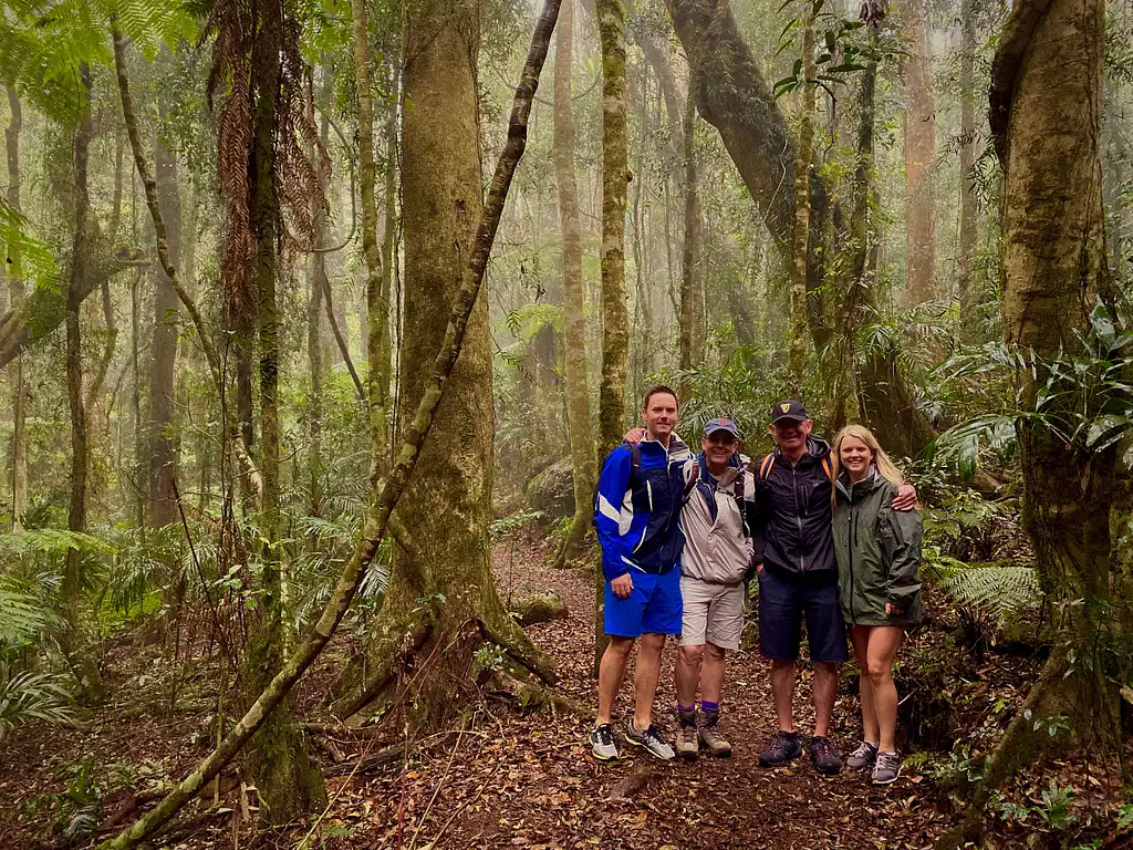 Rainforests of Lamington Wilderness Tour from the Gold Coast