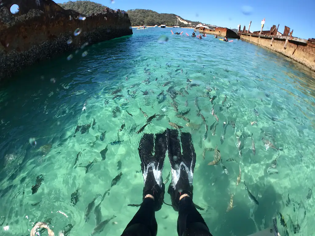 Moreton Island Day Cruise & Eco Marine Safari