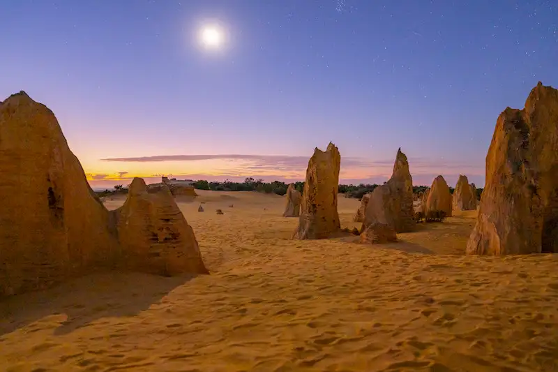 Pinnacles Sunset, Stargazing & Wildlife Full Day Tour