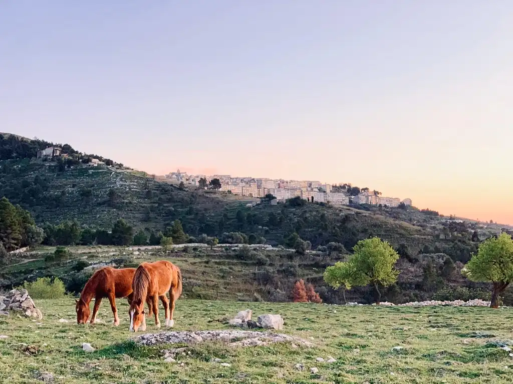 8 Day Unexplored Sicily Gastronomic Tour