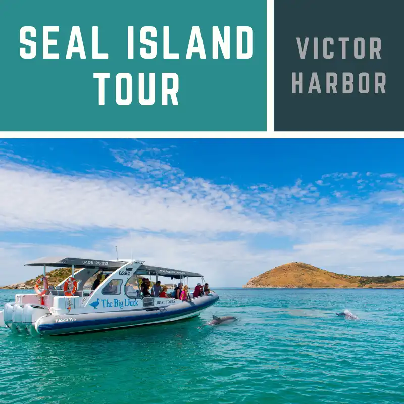 Seal Island Scenic Cruise