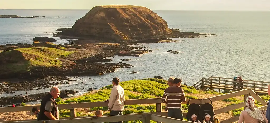 Puffing Billy And Phillip Island Penguin Parade Small Group Tour