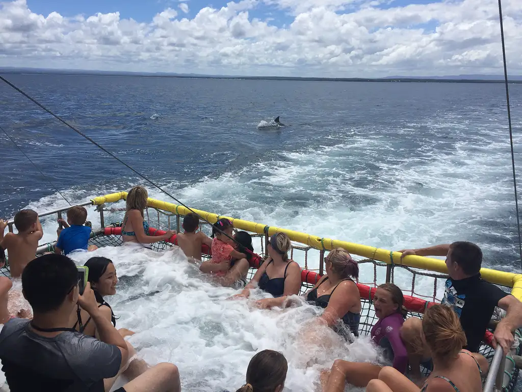 Jervis Bay Dolphin & Boom Netting Cruise