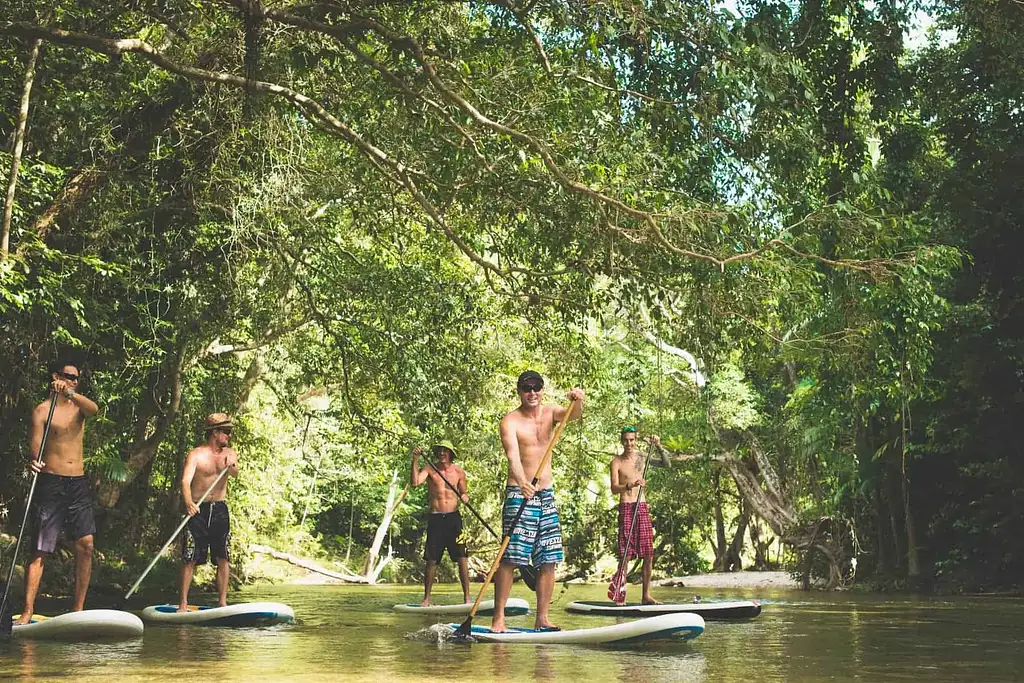 Magical Daintree Rainforest SUP Tour