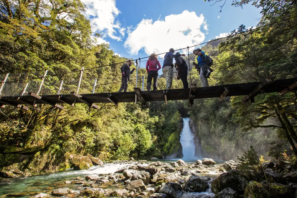 Milford Track Guided Walk & Boat Cruise - From Milford Sound