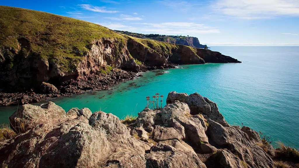 Christchurch Full-Day Guided Crater Rim Walk