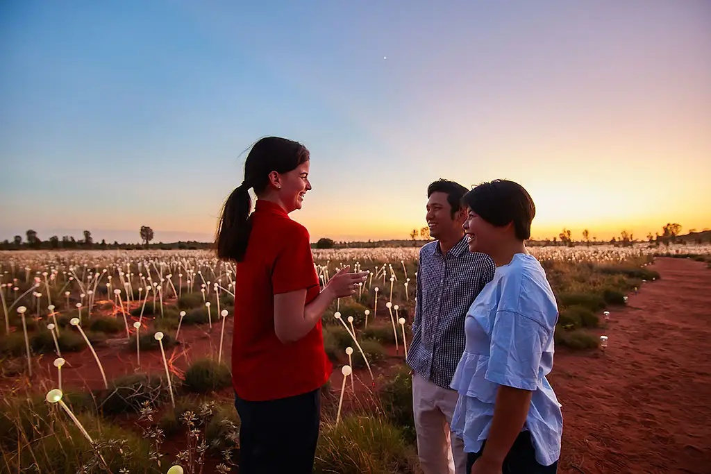 Uluru Sunrise & Field of Light (FOL)