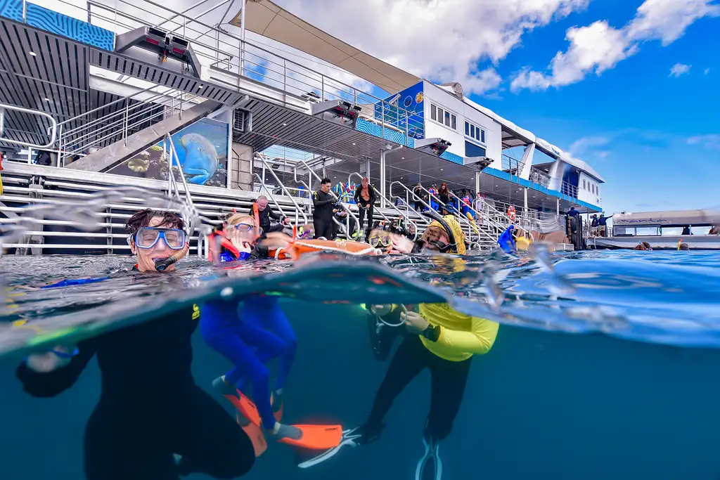 Cairns to Great Barrier Reef Cruise | Reef Magic Cruises