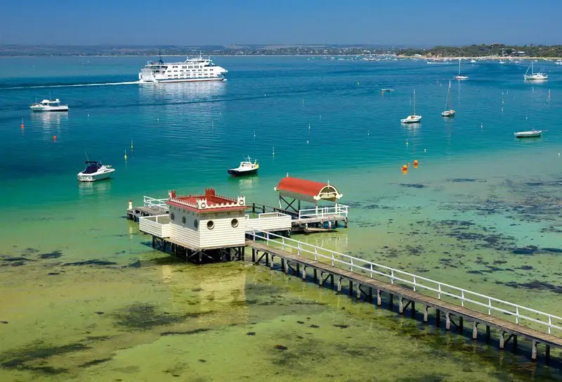 Port Phillip Bay Wildlife Adventure Cruise