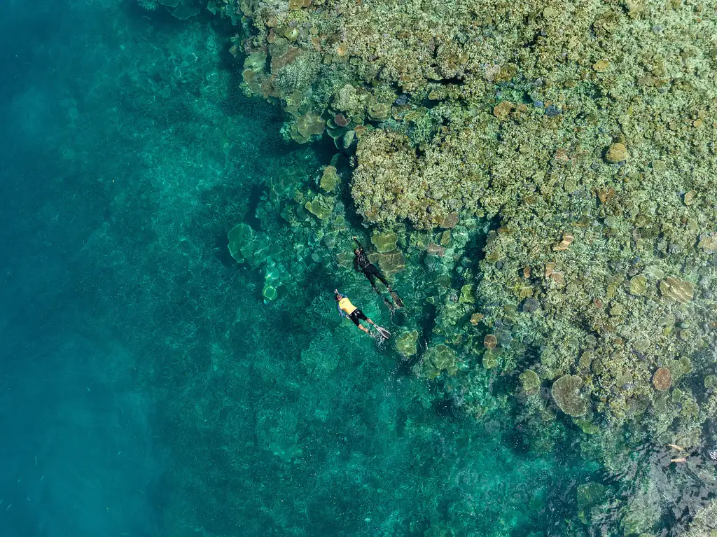 Outer Reef Snorkelling Adventure