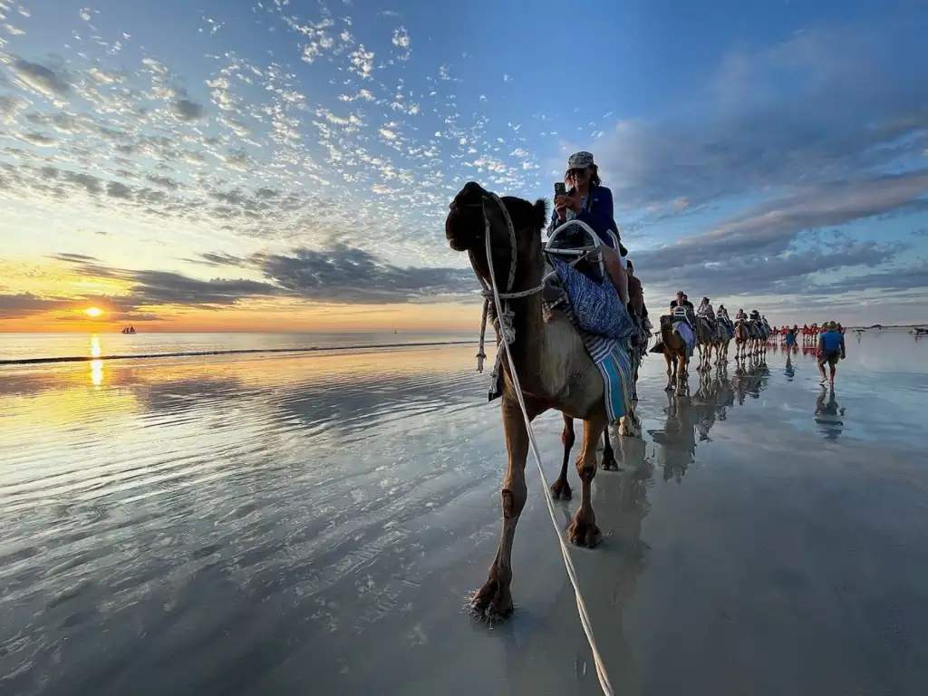 Broome Sunset Camel Tour