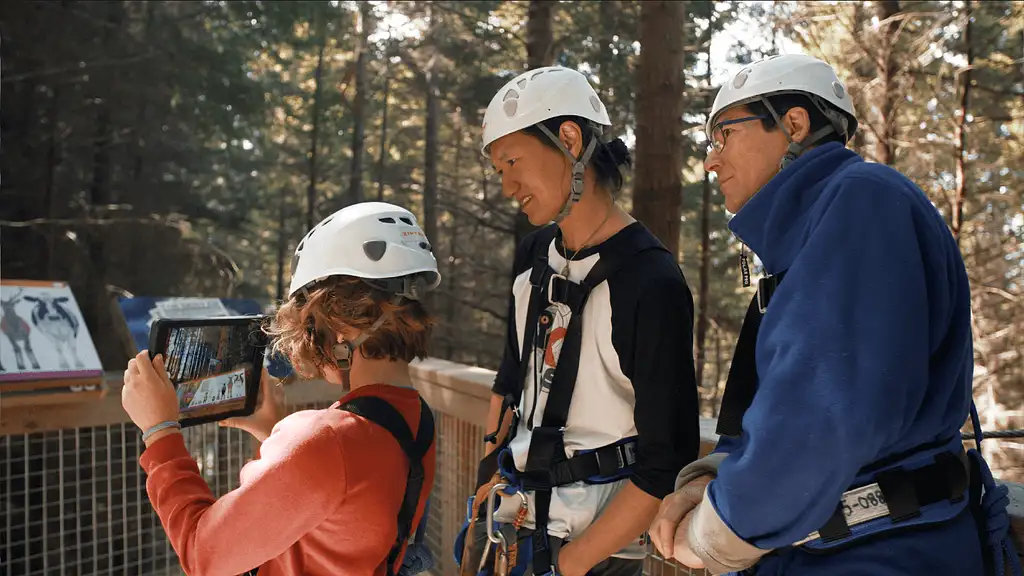 Kereru Interactive Zipline Tour