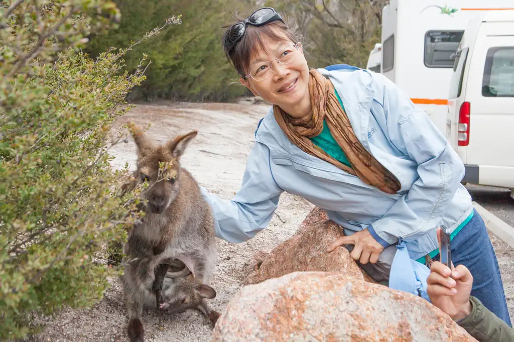 Wineglass Bay Day Tour From Hobart