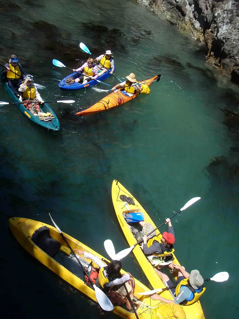 Glass Bottom Kayak Tour - Batemans Bay