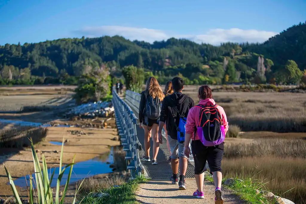 10 Day Hihi Tour | Auckland to Wellington | Stray