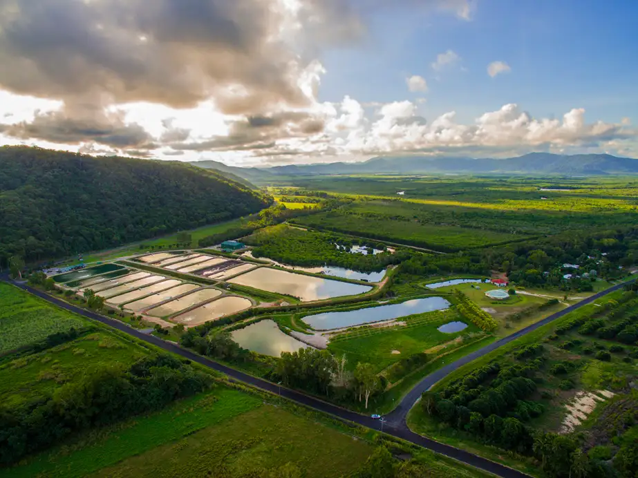 1 Hour Barramundi Gourmet Farm Tour