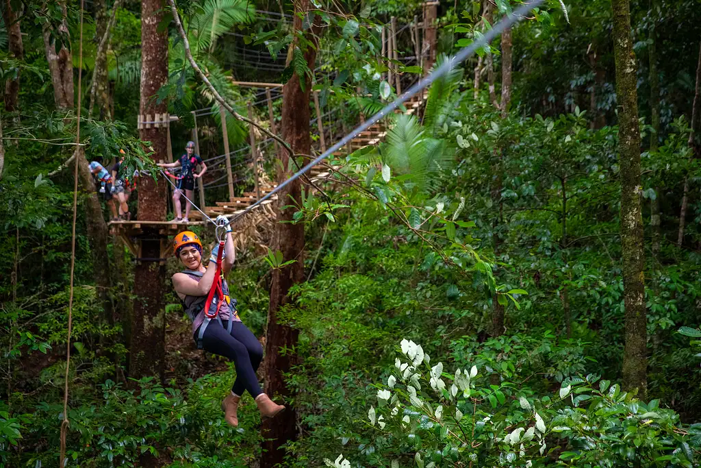 Zipline Tour Cape Tribulation