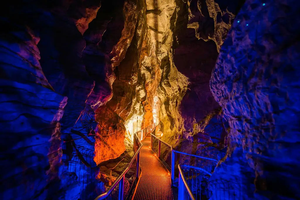 Ruakuri Glowworm Cave Tour