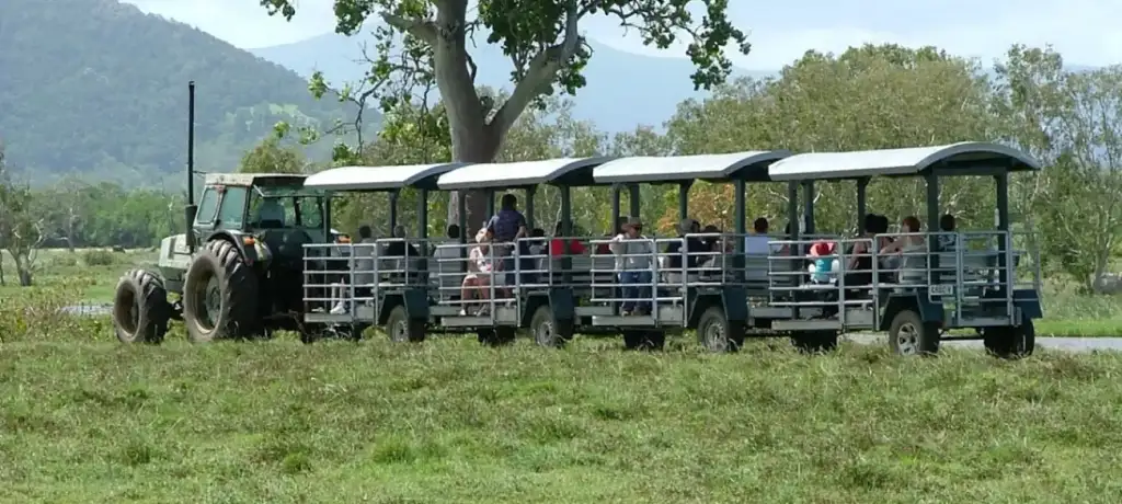 Whitsunday Crocodile Safari | From Hamilton Island