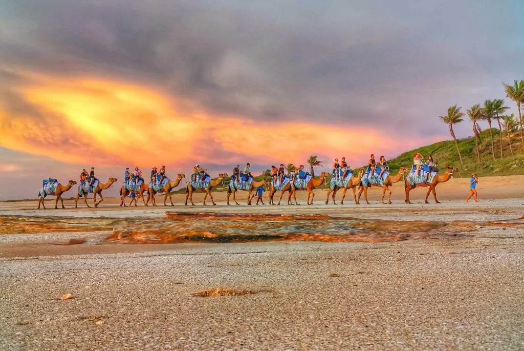 Broome Sunset Camel Tour