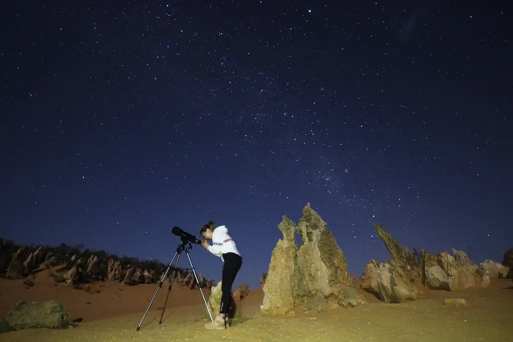 Pinnacles Sunset, Stargazing & Wildlife Full Day Tour