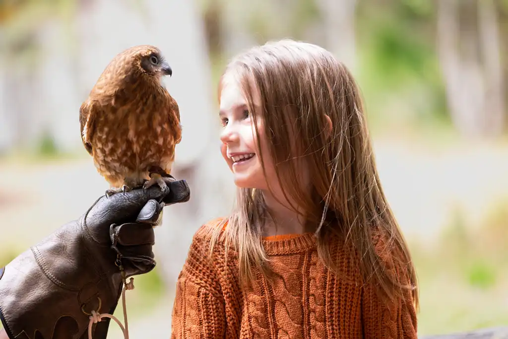 Capes Raptor Centre: Encounters and Birds of Prey Forest Walk