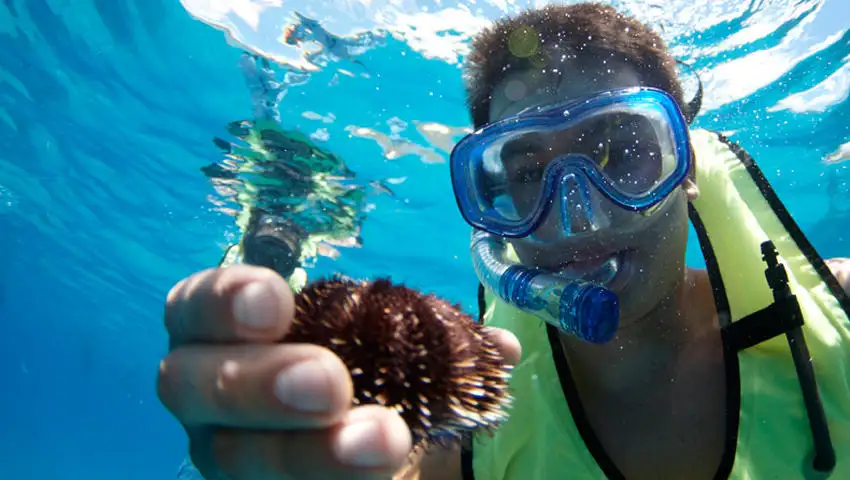 West Oahu Snorkel And Dolphin-spotting Tour