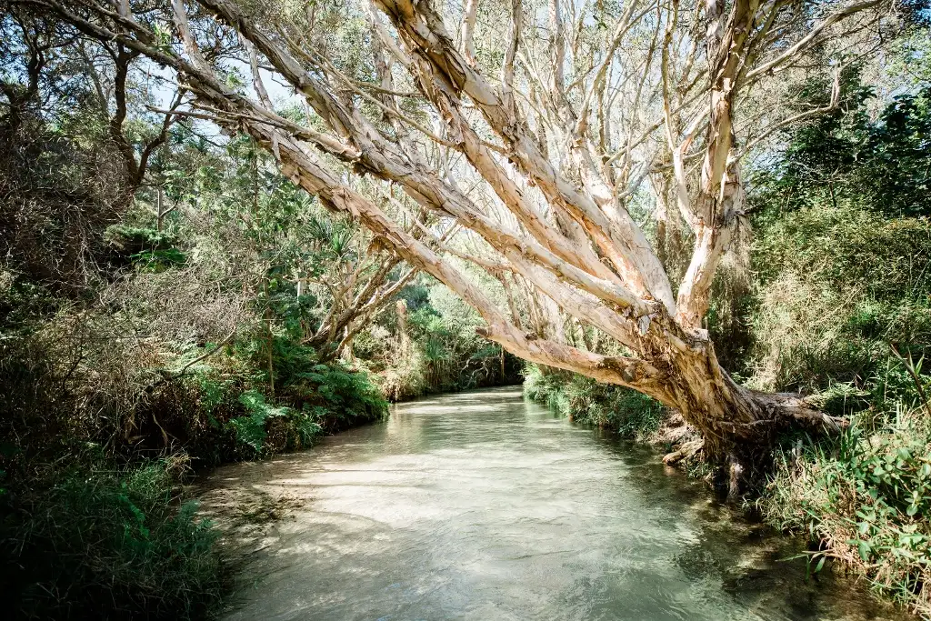 2 Day K'gari (Fraser Island) Tour | Resort Stay | From Rainbow Beach