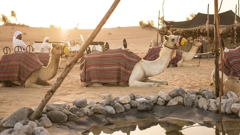 Bedouin Culture Safari From Dubai