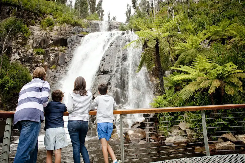 Lake Mountain Snow & Waterfalls Day Trip from Melbourne