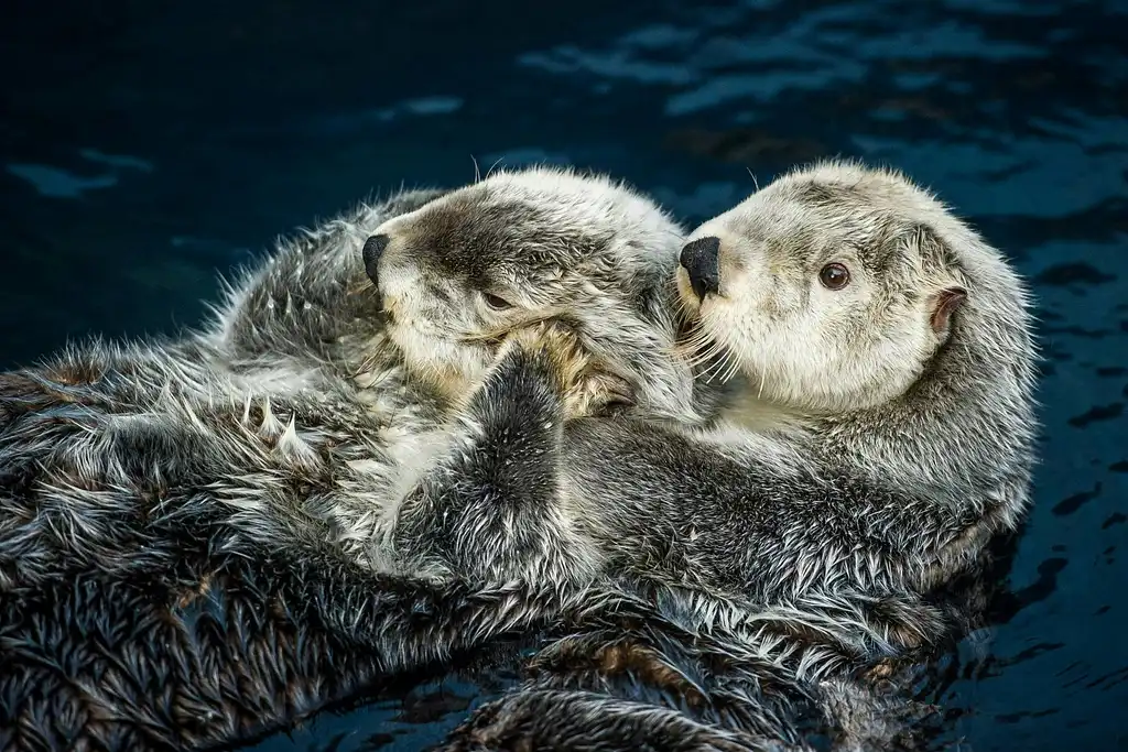 Nat Geo Day Tour: Oceanario Odyssey, A Behind-the-Scenes Experience