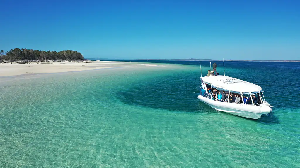 Hervey Bay Nature Cruise