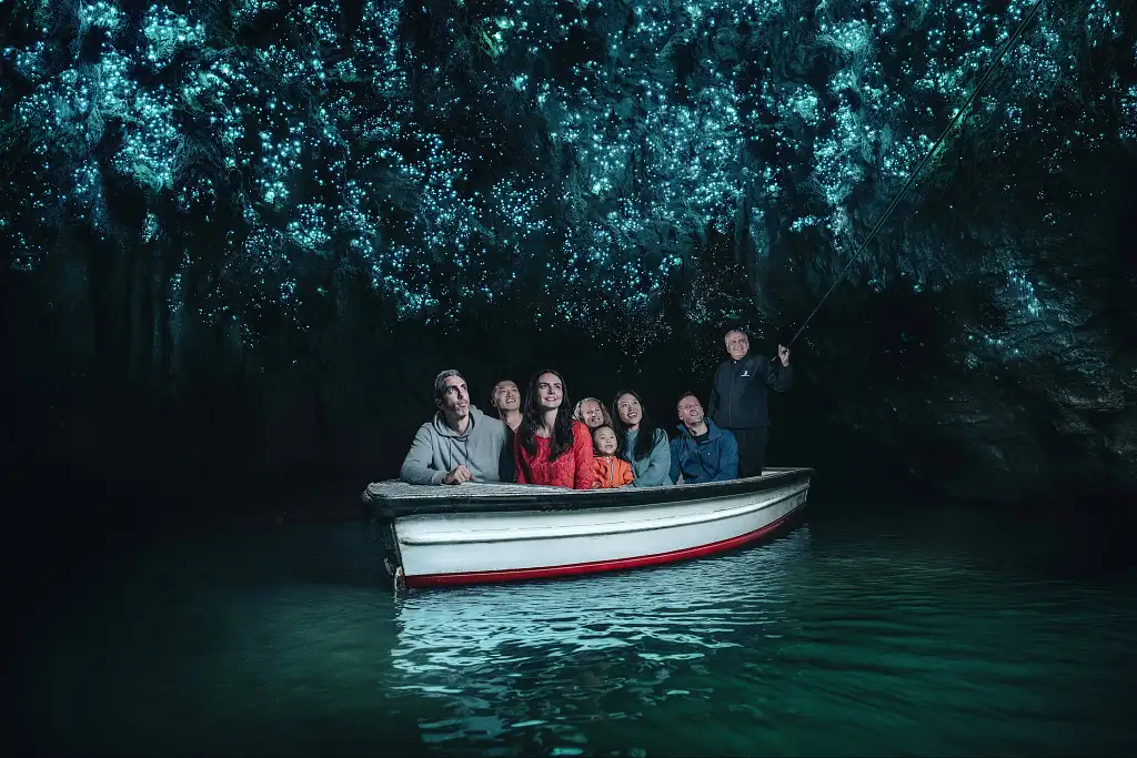 Waitomo Caves Boat Tour | Waitomo Glowworm Caves NZ