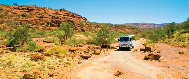 Palm Valley Outback Safari by 4WD