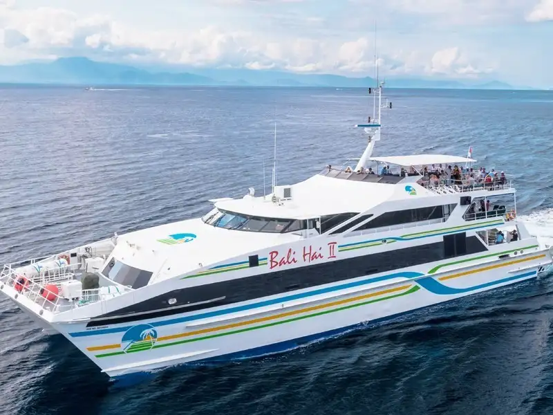 Bali Reef Cruise