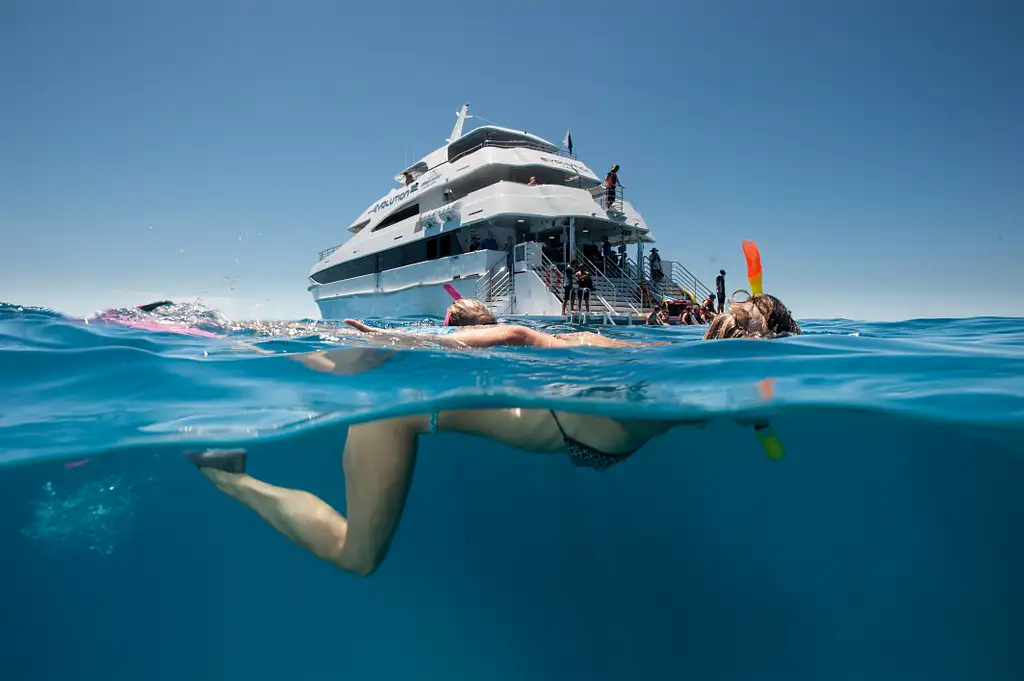 Full Day Great Barrier Reef Snorkelling & Dive Cruise on Evolution