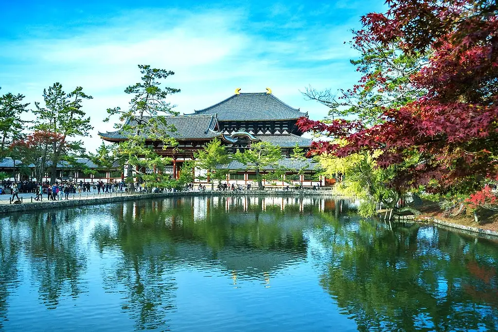 1-Day Tour To Kyoto And Nara Park From Osaka