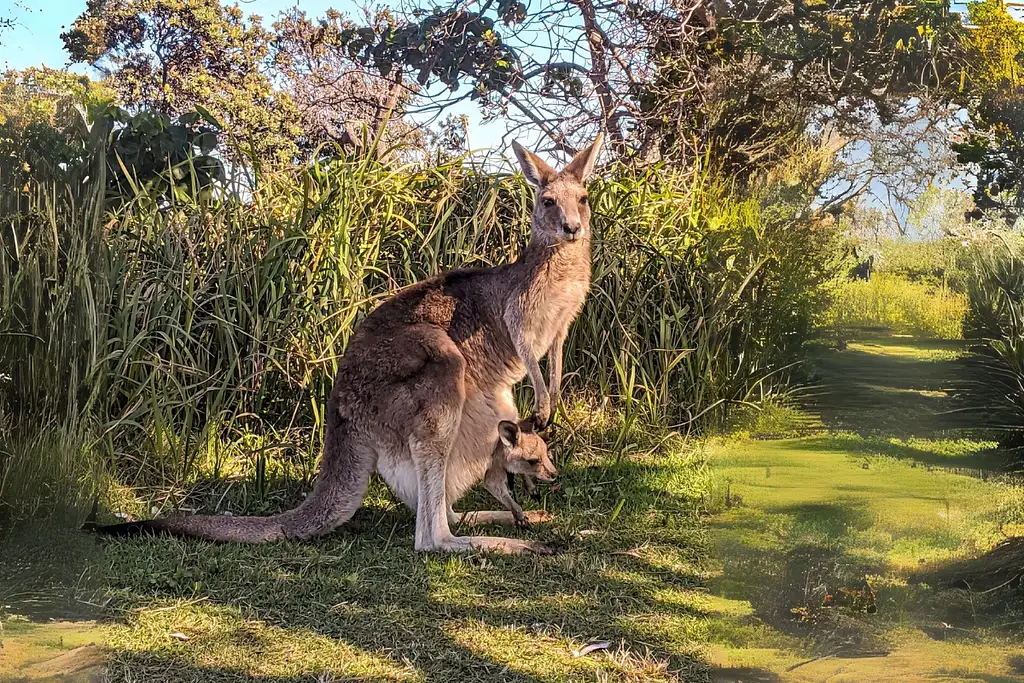 North Stradbroke Island Day Trip from Brisbane