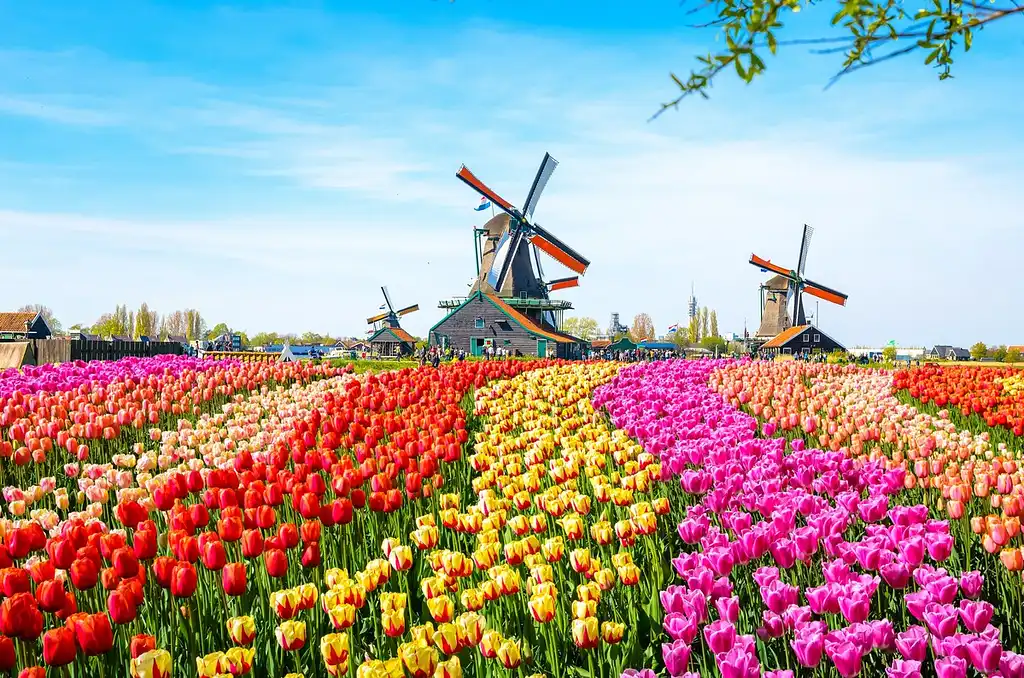 Go City Amsterdam: All-inclusive Pass