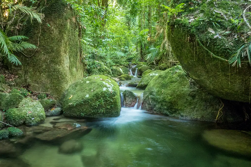 Mossman Gorge Adventure Day with River Drift Snorkelling