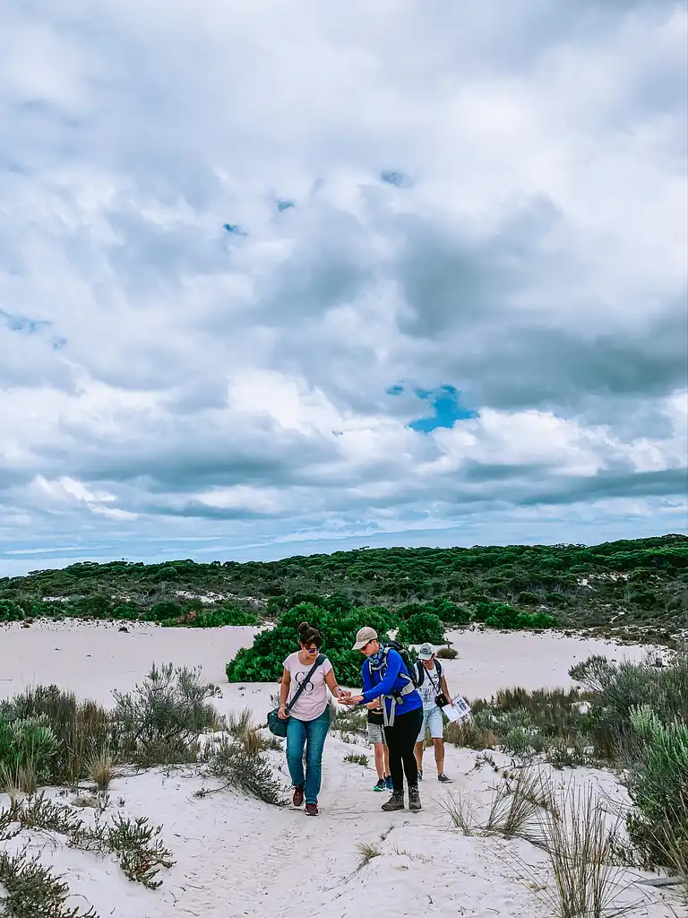 Kangaroo Island Koala Walking Tour