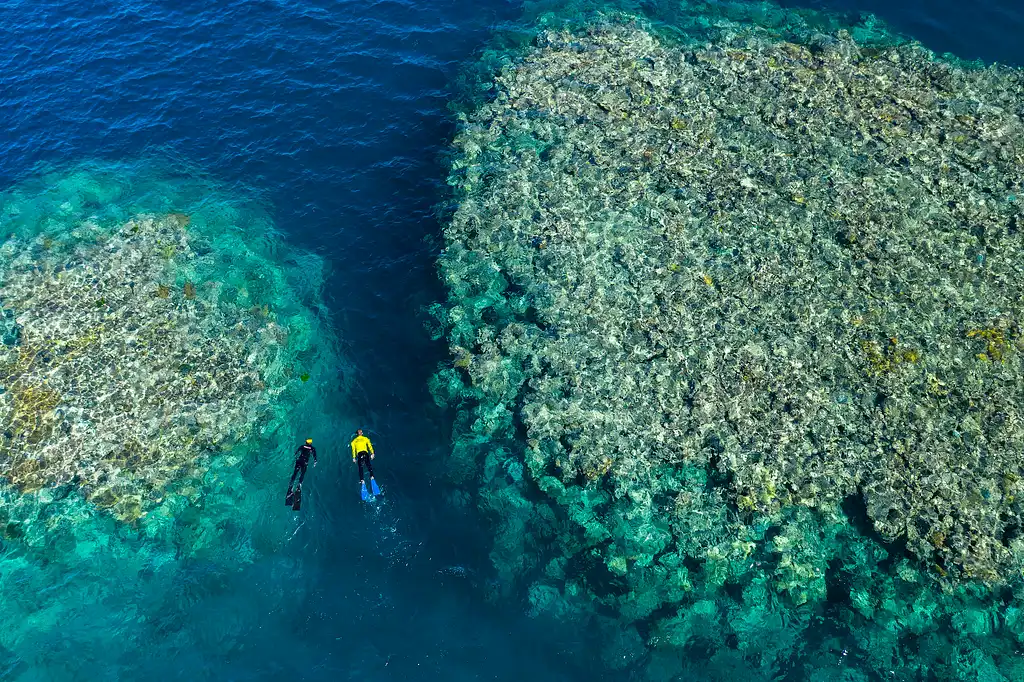 Outer Great Barrier Reef Tour on Viper | from Airlie Beach