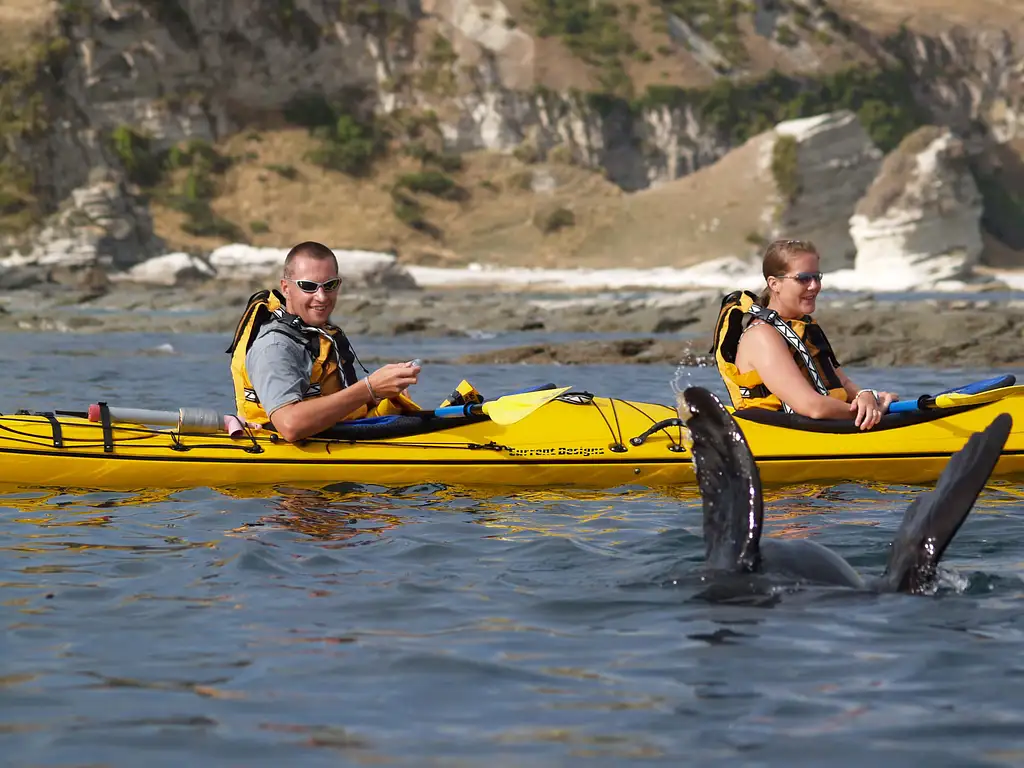 Kaikoura Guided Wildlife Kayak Tour