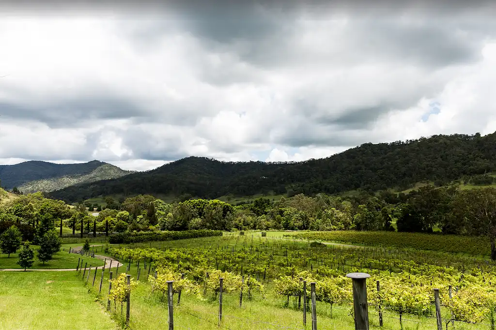 The Ultimate Sunshine Coast Gourmet Tasting Experience | Private Tour