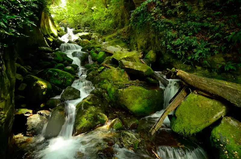 Mount Aspiring Canyoning Tour - Full Day